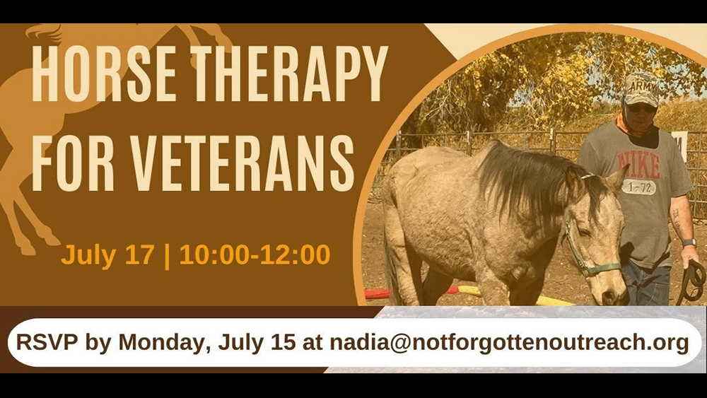 horse therapy flyer